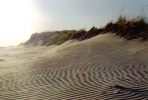 13073_fire_island_beach.jpg