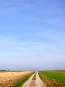 harvested-corn-field-1404711-m.jpg