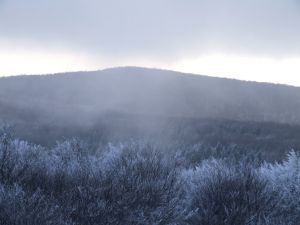 mountain-haze-1130128-m.jpg